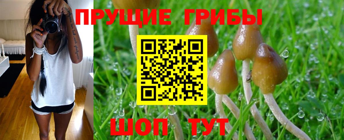 Галлюциногенные грибы GOLDEN TEACHER Салават