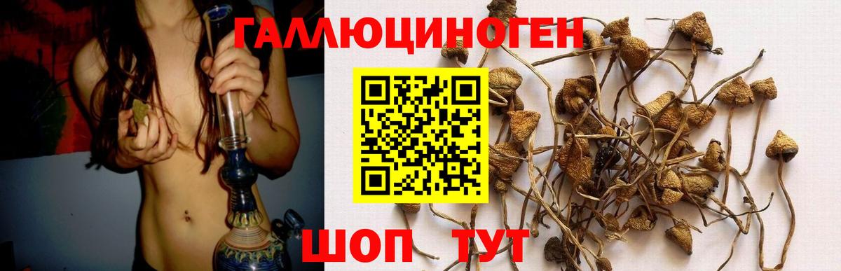 Салават  где можно купить   Вход с VPN  Псилоцибиновые грибы GOLDEN TEACHER 