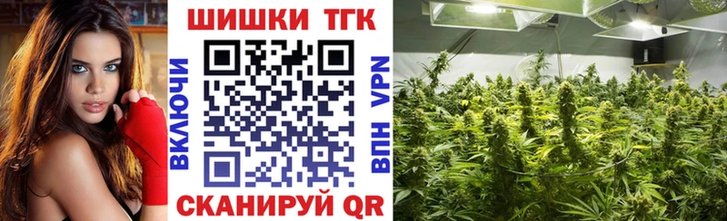 Бошки Шишки конопля где можно купить наркотик Салават